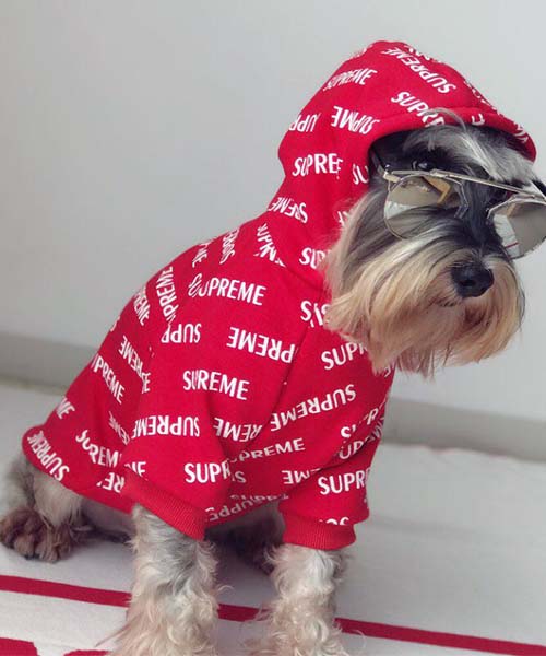 シュプリーム 犬 服 パーカー,supreme 犬服 プルオーバー