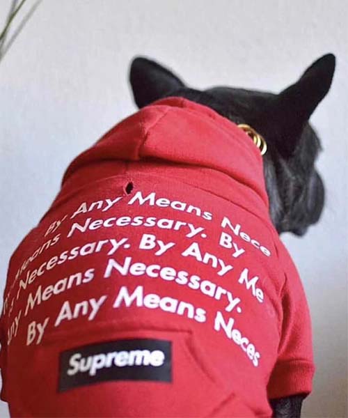 シュプリーム 犬服 パーカー,supreme ドッグウェア プルオーバー 