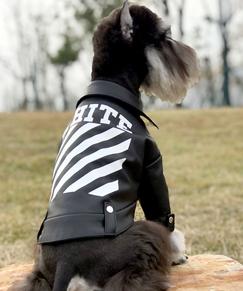 Off White オフホワイト 犬服 ライダースジャケット 革ジャケット 二脚服