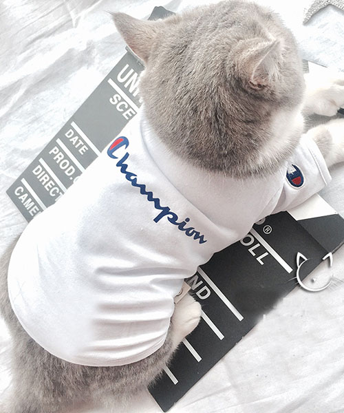 CHAMPION ペット服,CHAMPION 犬服 tシャツ,チャンピオン 猫服 tシャツ