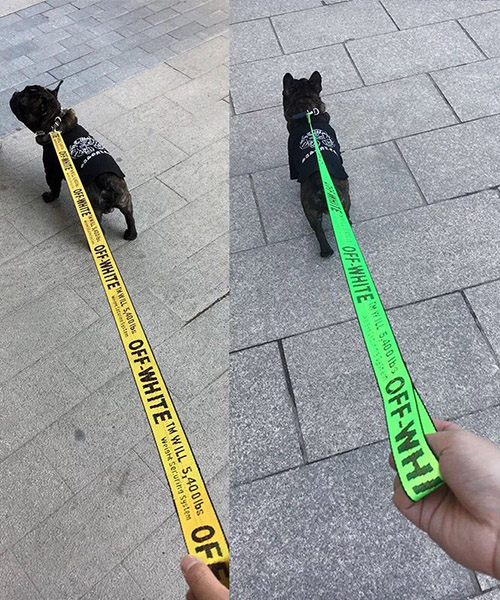オフホワイト 犬用リード Off White 中小型犬用リード 軽量タイプ おしゃれ 犬用品 オンライン通販