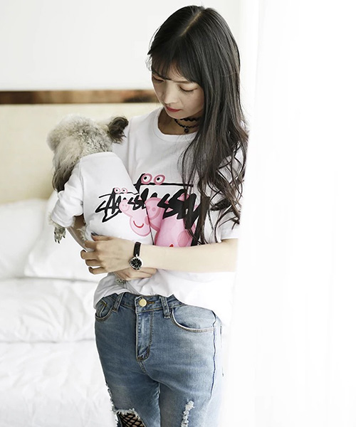 STUSSY 犬服 Tシャツ