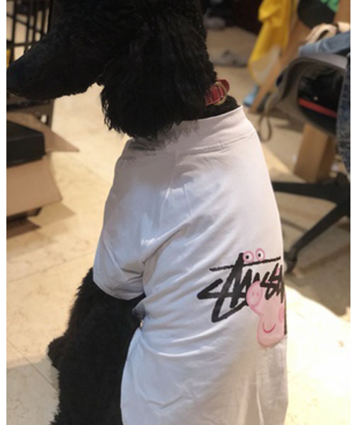 STUSSY 犬服 Tシャツ 大型犬