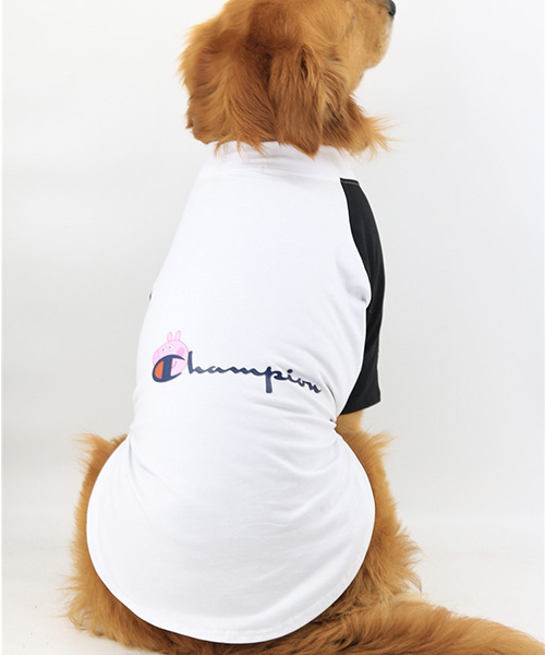 チャンピオン 犬服 パロディ Tシャツ 大型犬