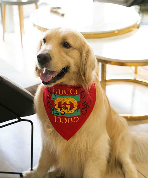 人気ブランドを 犬用バンダナ スカーフ