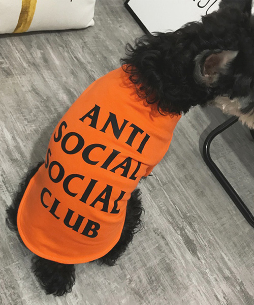 anti social social club 犬服 tシャツ お飼い主とのペアルック