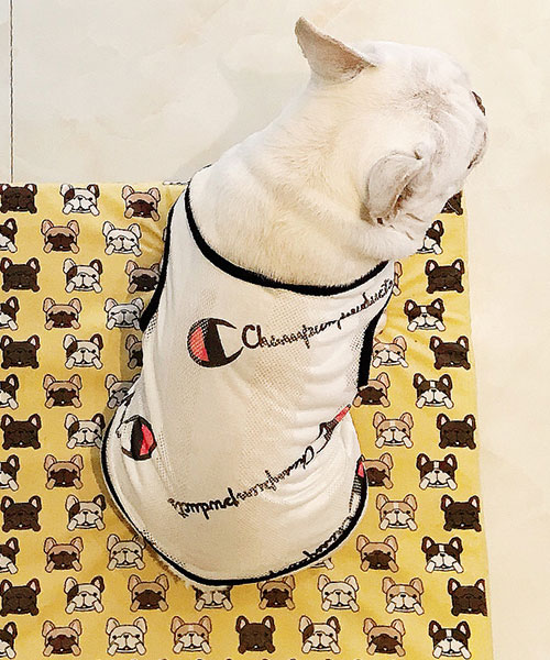 チャンピオン Champion ドッグウェア メッシュ 通気性 夏の暑さに対策 クール